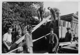 Mitglieder beim Barackenabbau in Haltingen 1953